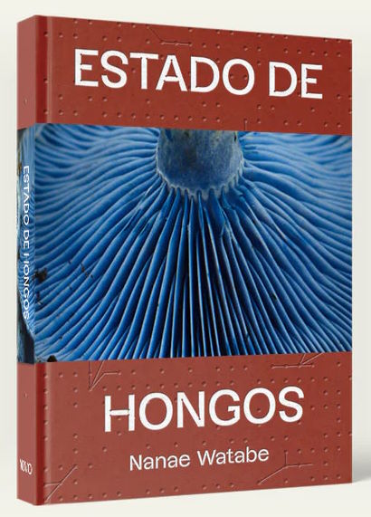 Estado de Hongos